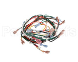 127748 Groen Harness, Wiring, Main, Hfp/2E