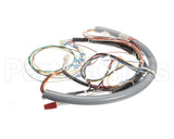12A763 Ultrafryer Harness Wiring Central W/18A04