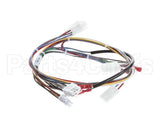130201 Globe Wire Harness 3000 Series