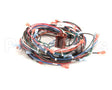 130399 Groen Harness, Control