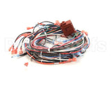 130399 Groen Harness, Control