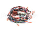 130399 Groen Harness, Control