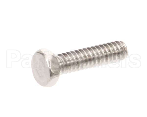 1307 Globe Screw
