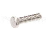 1307 Globe Screw