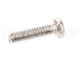 1307 Globe Screw