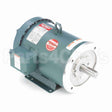 131502 Leeson Motor