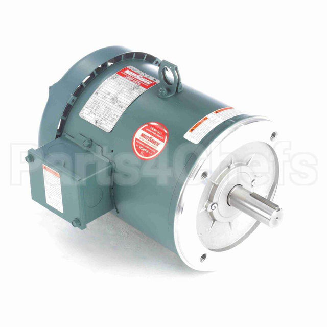 131503 Leeson Motor