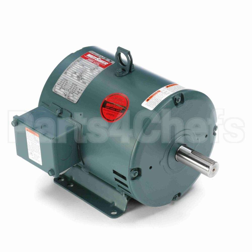 131519 Leeson Motor