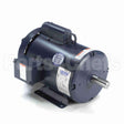 131526 Leeson Motor