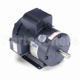 131637 Leeson Motor