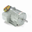 131847 Leeson Crop Dryer Motor