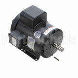 131855 Leeson Motor