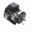 131855 Leeson Motor