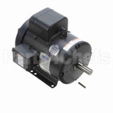131855 Leeson Motor