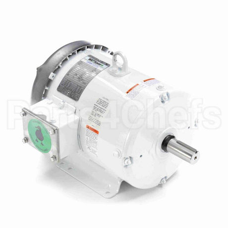 132196 Leeson Motor