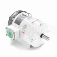 132196 Leeson Motor