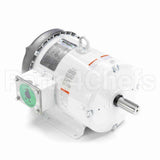 132196 Leeson Motor