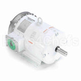 132197 Leeson Motor
