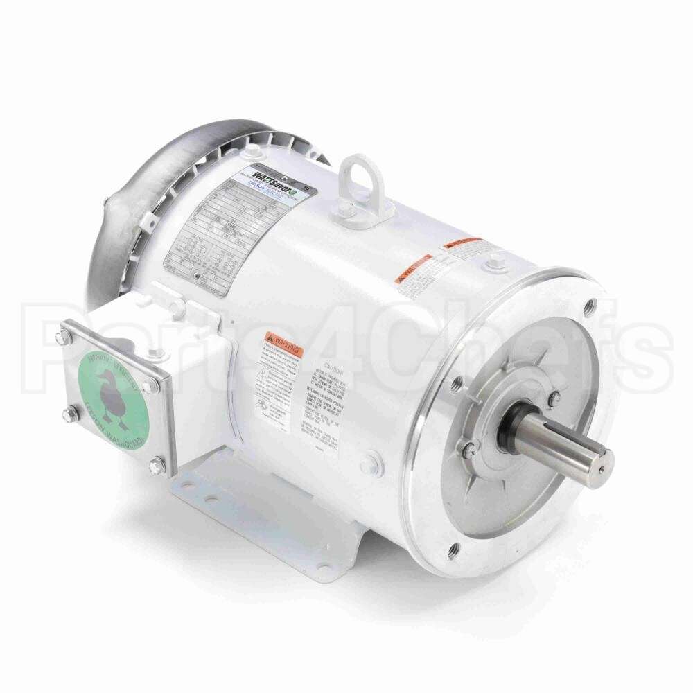 132201 Leeson Motor