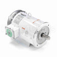 132201 Leeson Motor