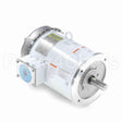 132439 Leeson Motor