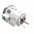 132444 Leeson Motor