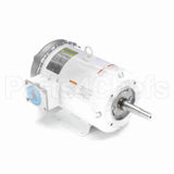 132446 Leeson Motor