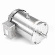132448 Leeson Motor