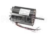 13656E Insinkerator 3-Phase Motor Assy