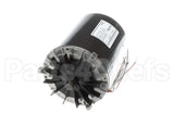 13656E Insinkerator 3-Phase Motor Assy