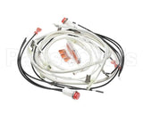 140266 Henny Penny Kit-Hhc900 100V Module Wiring