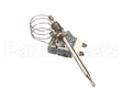 14031A Maxx Ice Thermostat