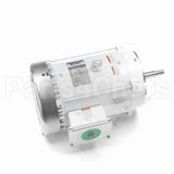 141270 Leeson Motor