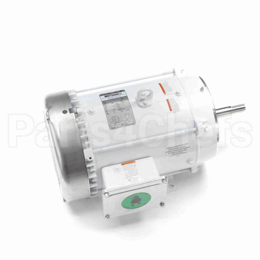 141270 Leeson Motor