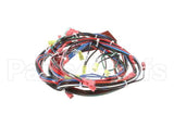 141836 Groen Harness, Control Hy-5G