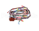 141836 Groen Harness, Control Hy-5G