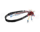 142-000019-001 Ultrafryer Wire Harness