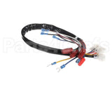 142-000019-001 Ultrafryer Wire Harness