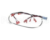 144973 Groen Wire Harness-Electric Tilt, High Voltage