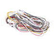 14560P052 Winston Main Wiring Harness