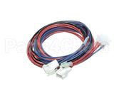 14560S020 Winston Secondary Harness