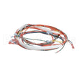 146191 Compatible Groen Wireharness, Control Low Voltage, Gas