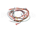 146191 Groen Wire Harness,Control Low Voltage, Gas
