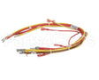 148504 Groen Wiring Harness, High Voltage Ee-20, 40