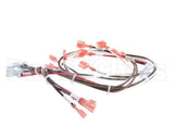 148769 Groen Wire Harness-Electric Tilt, High Voltage