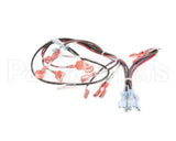 148769 Groen Wire Harness-Electric Tilt, High Voltage