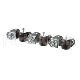 149503 Compatible Norlake Set Of (6) 2 Diameter C Asters