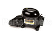 150556 Norlake Compressor 115V