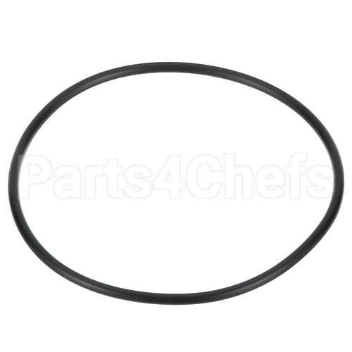 1511-20 Compatible Everpure O-Ring