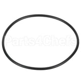 1511-20 Compatible Everpure O-Ring